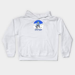 Snowboard Colorado Kids Hoodie